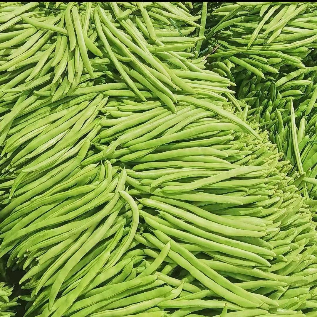 Green Beans